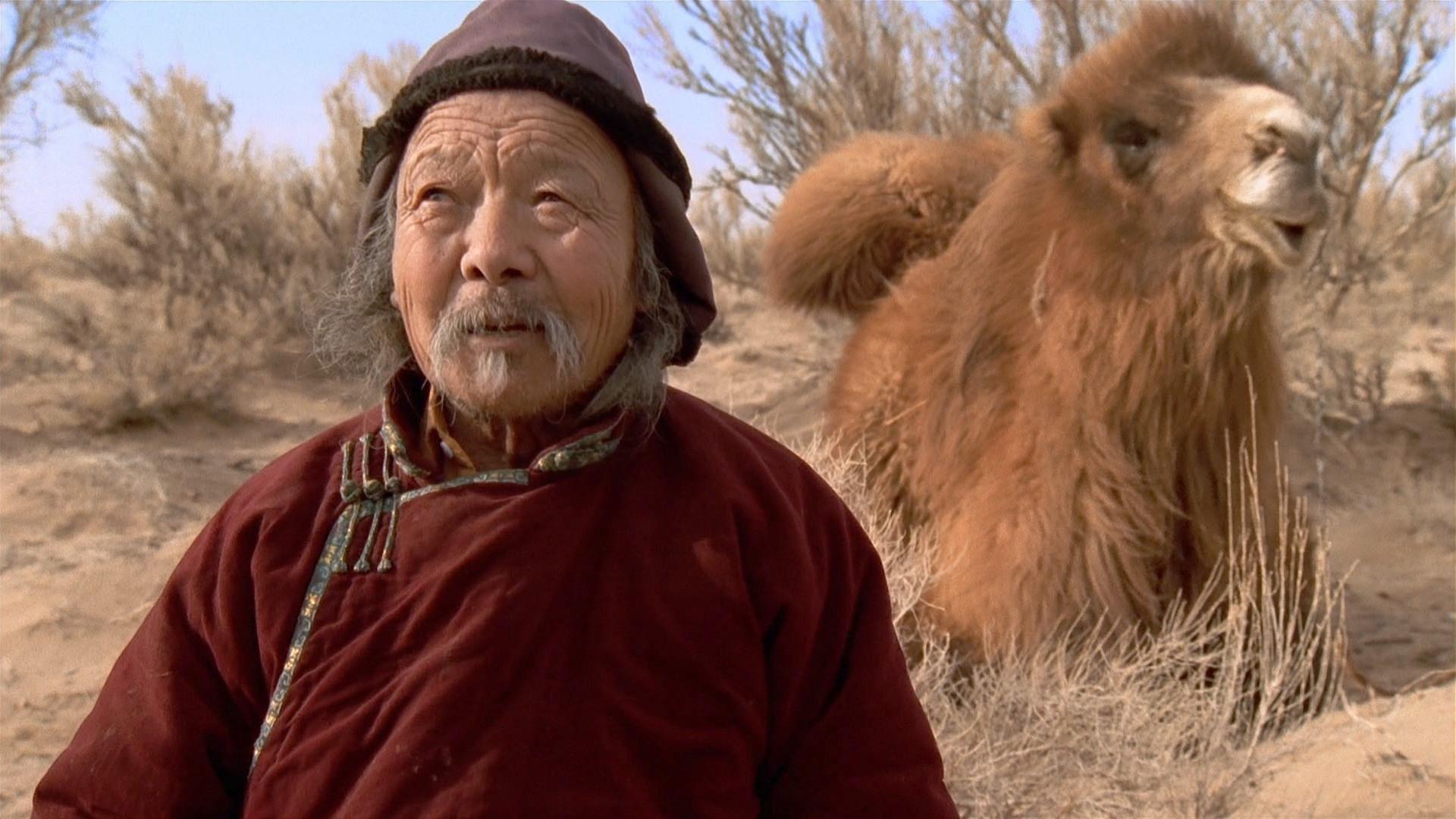 La historia del camello que llora