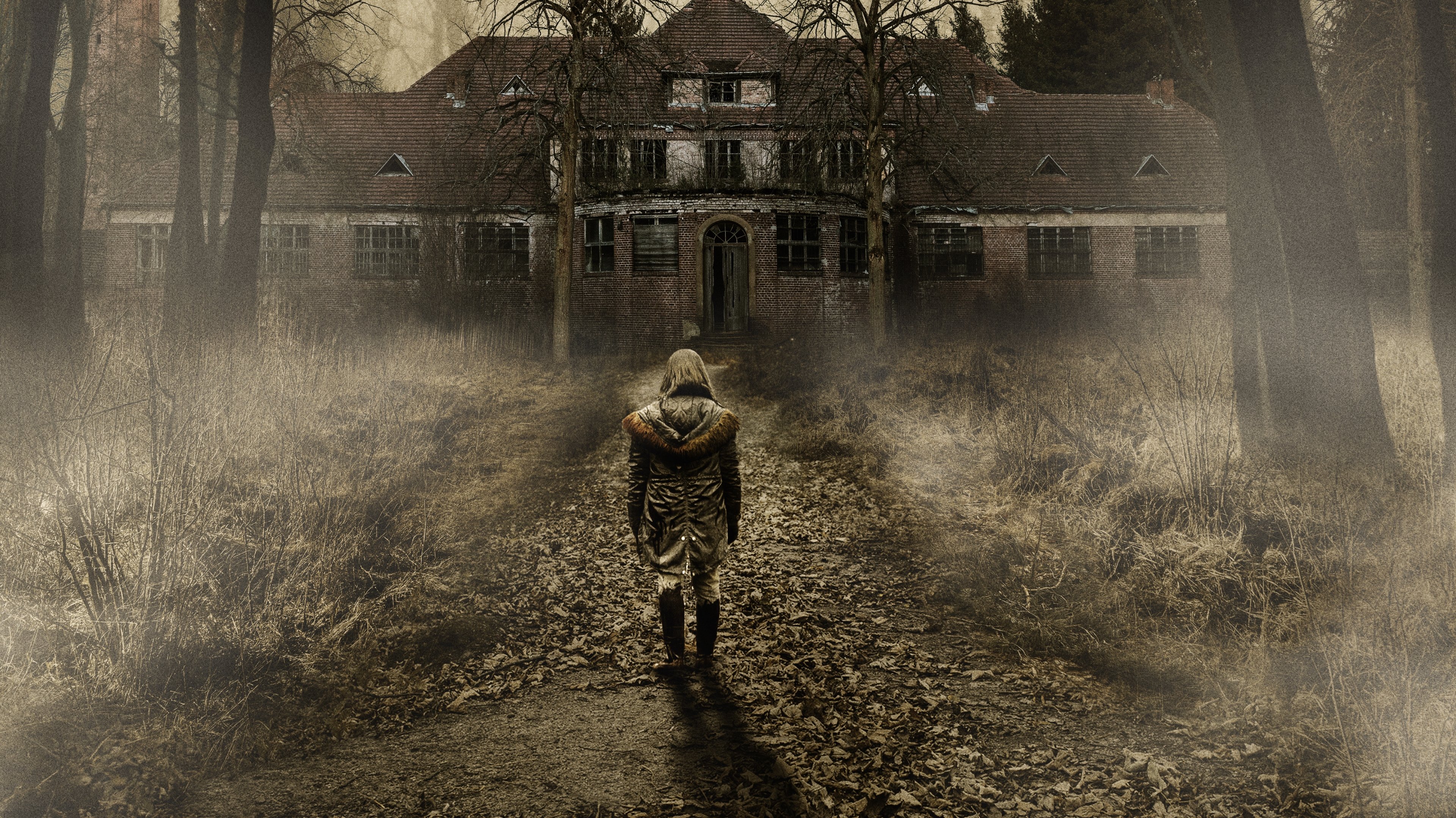 El manicomio: la cuna del terror