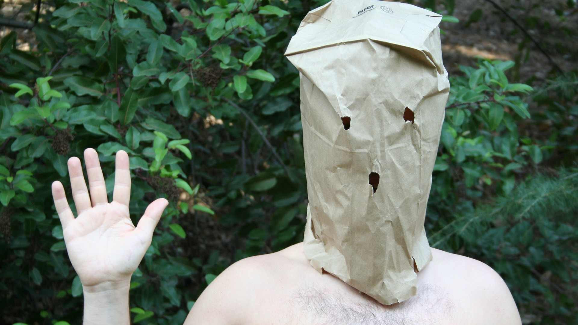 Cabeza de bolsa