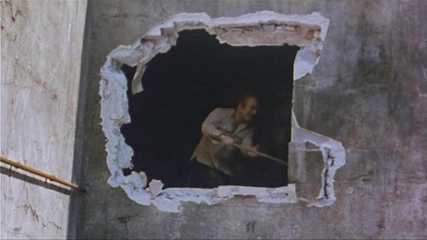 Themroc, el cavernícola urbano