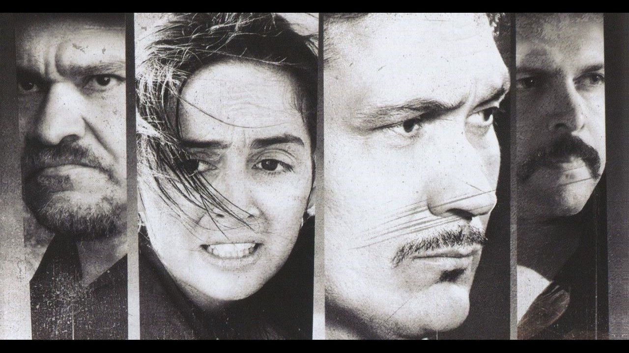 Backyard: El traspatio