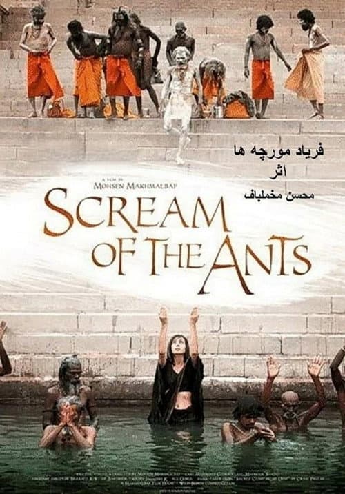 El grito de las hormigas