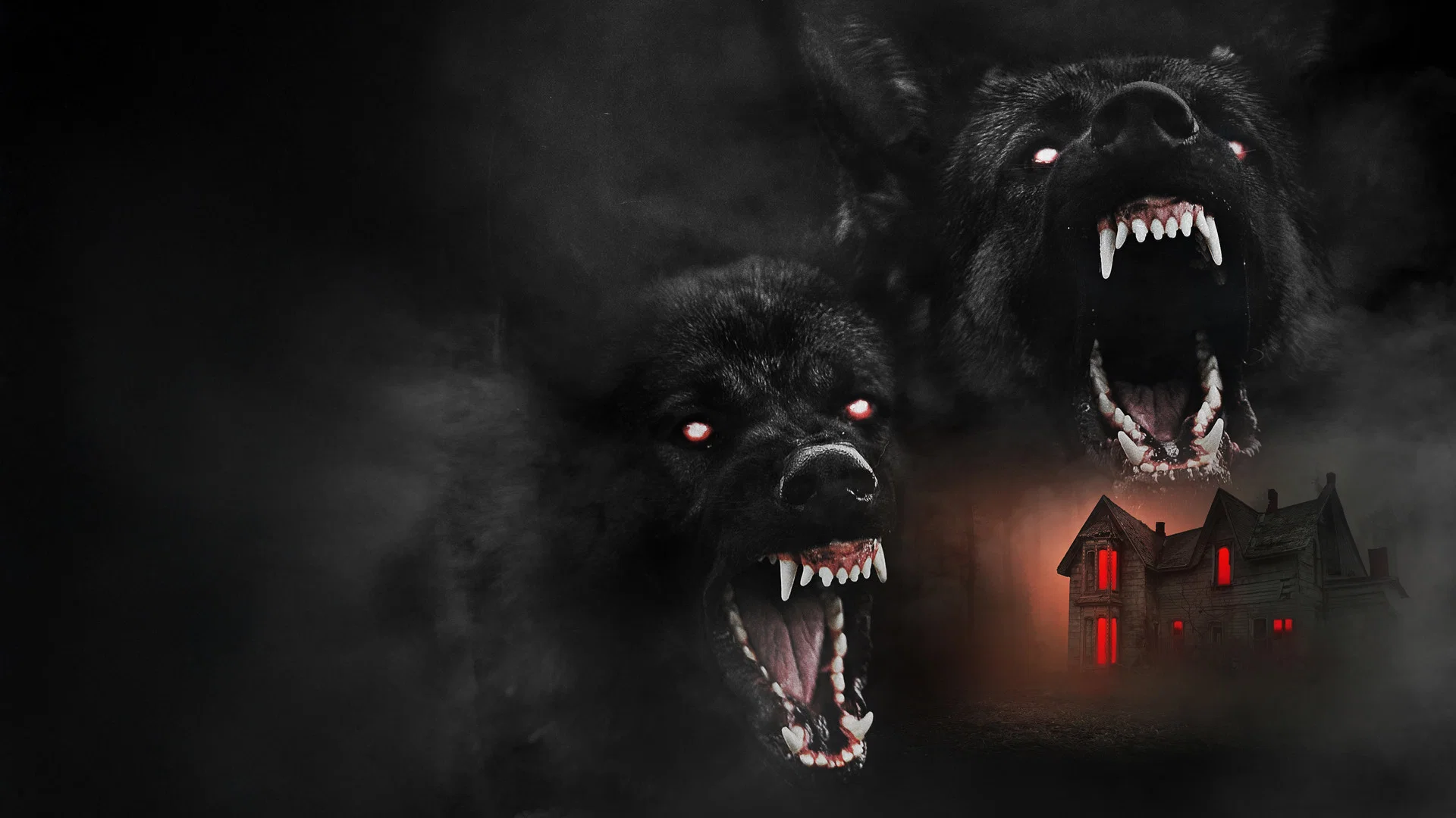 The Dogs